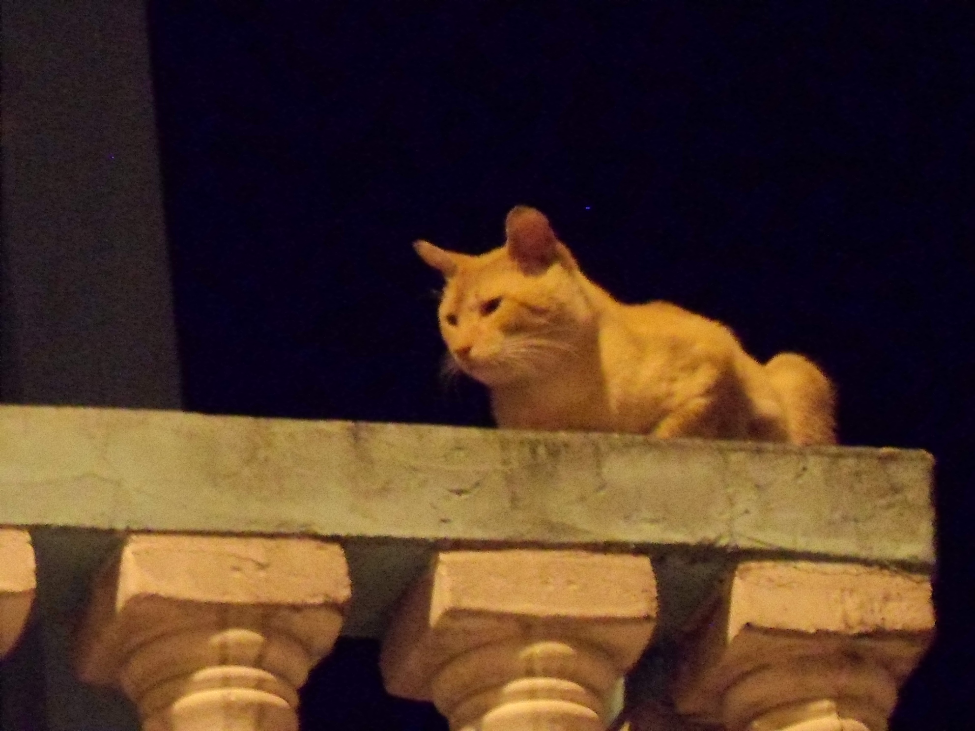 Marcelo Araujo Fernandes de Sousa